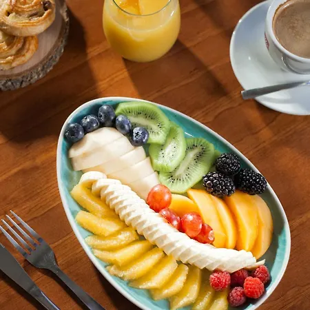 Palacio De Hemingway 4* 龙达