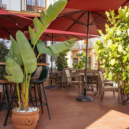 فندق Palacio De Hemingway 4*